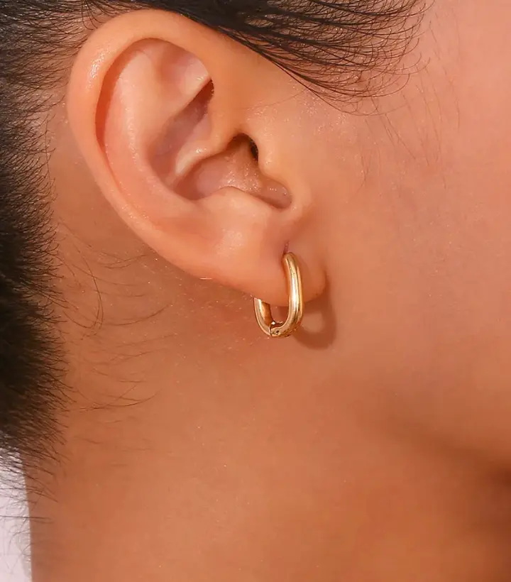 Fendi Hoop Earrings 1